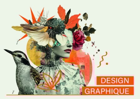 graphisme.jpg